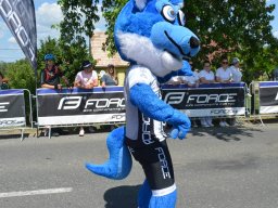 FORCE fanzóna ( Peter Dioszegi)