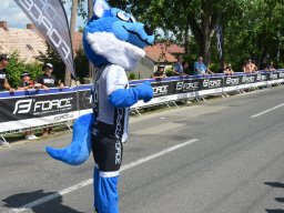 FORCE fanzóna ( Peter Dioszegi)